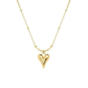 Heart of shine Necklace